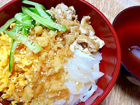 5種の具材の冷たいうどん